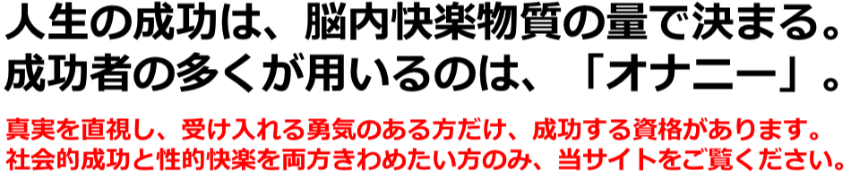 ��x���̐l�������p���r�E�X�I�i�j�[,�]�Ȋw,�r�W�l�X�Ɛ��~�G�l���M�[,�I�i��,�����Ɛl�Ԋ֌W�̊�]����,�]������,A10�_�o,���Ȍ[��,�����҂̖[���p,�����񂹂̖@��